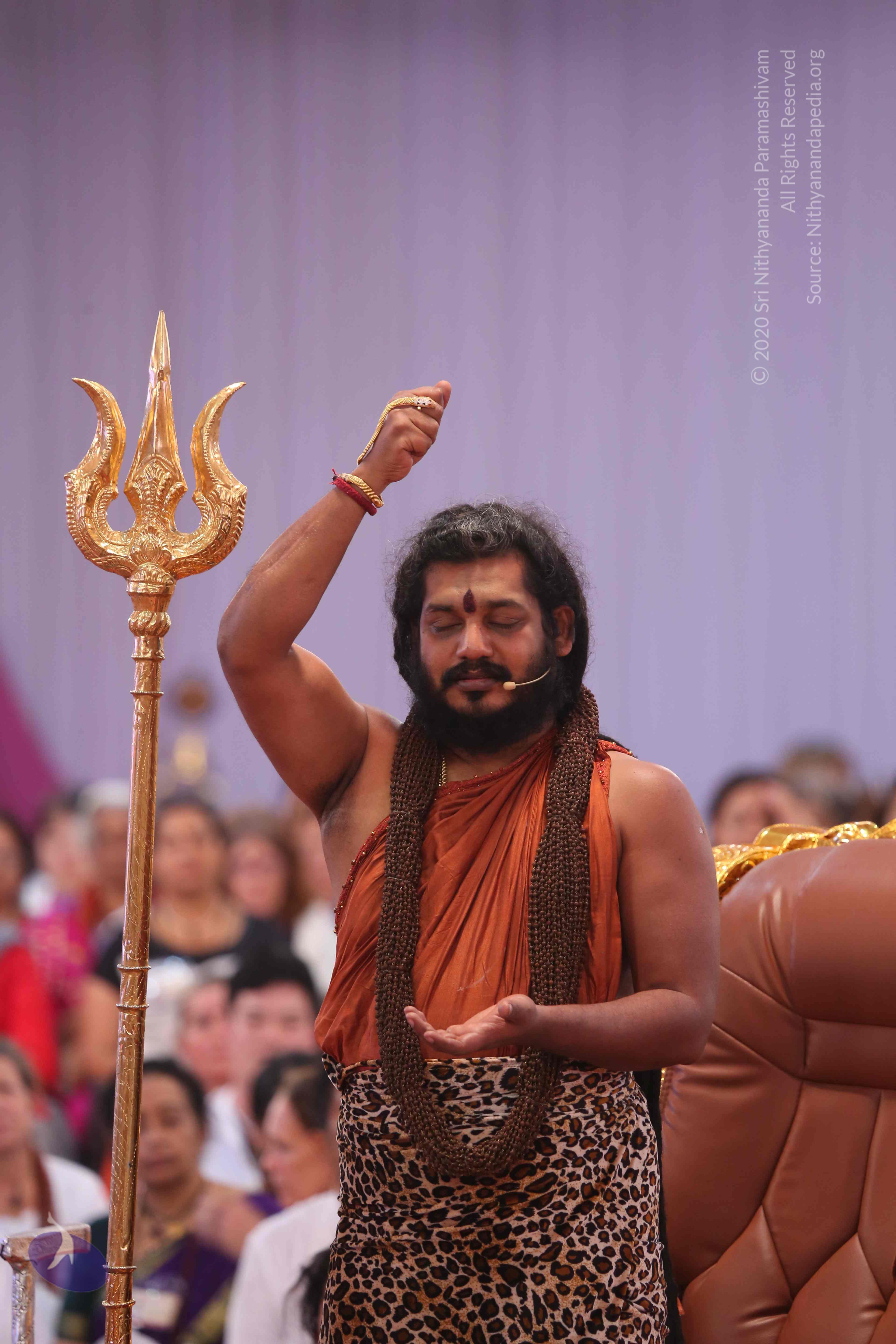 20161204_Photo_1141_IMGL5518_CMP_WM